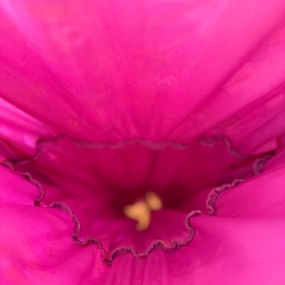 Floral Pink Maxi Dress - Picture 7 of 7